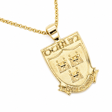 Load image into Gallery viewer, 9CT GOLD DUBS PENDANT