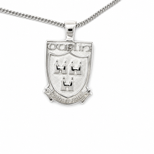 Load image into Gallery viewer, HANDMADE STERLING SILVER DUBLIN PENDENT