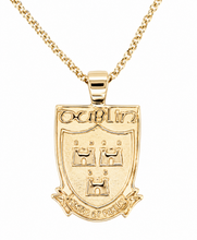 Load image into Gallery viewer, 9CT GOLD DUBS PENDANT