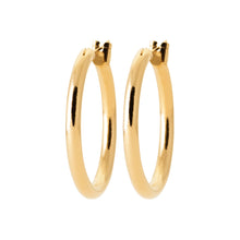 Load image into Gallery viewer, 18CT GOLD PLATED 30MM HOOPS WITH HINGE CLOSING
