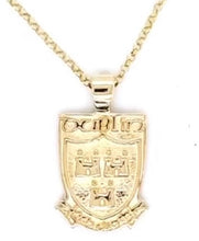 Load image into Gallery viewer, 9CT GOLD DUBS PENDANT