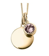 Load image into Gallery viewer, BIRTHSTONE DISC NECKLACE STERLING SILVER GOLD PLATED